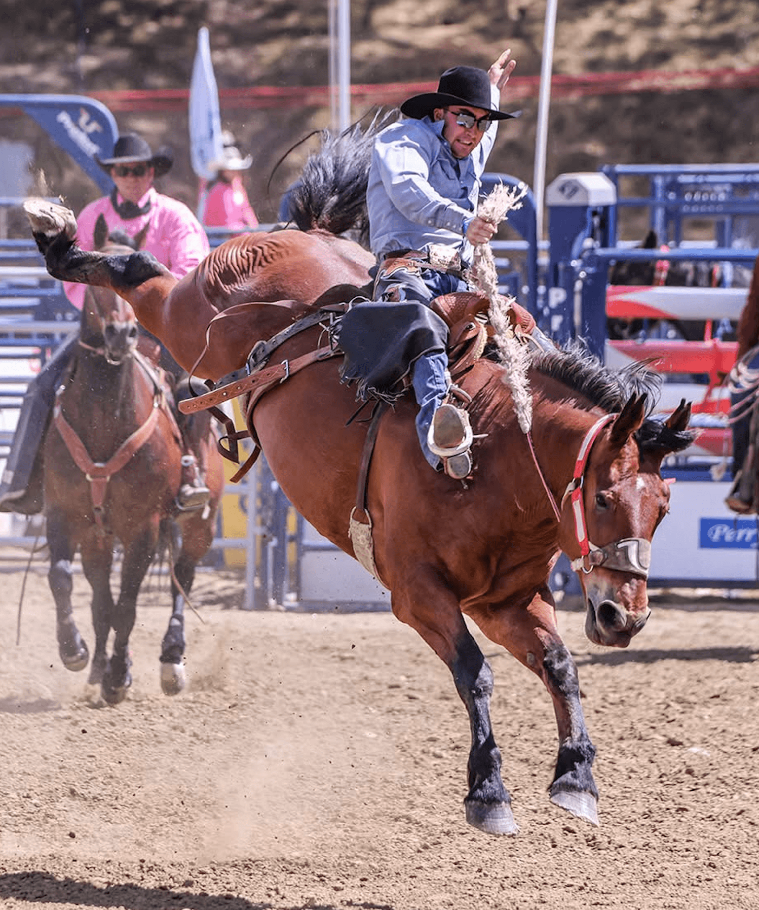 Bronc riding at the El Dorado Stampede